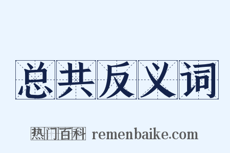 总共反义词是什么意思的图片